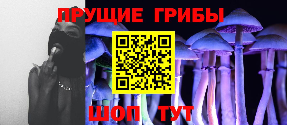 Псилоцибиновые грибы Psilocybine cubensis Каменск-Шахтинский