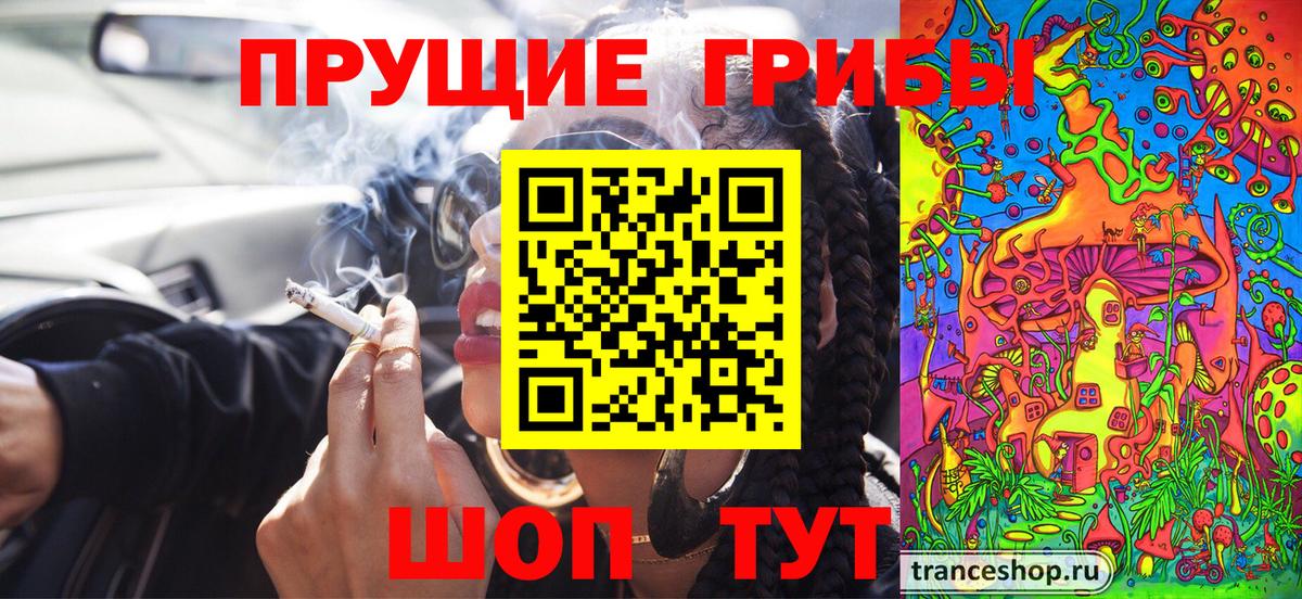 Каменск-Шахтинский  Галлюциногенные грибы прущие грибы  купить закладку  Вход с VPN 
